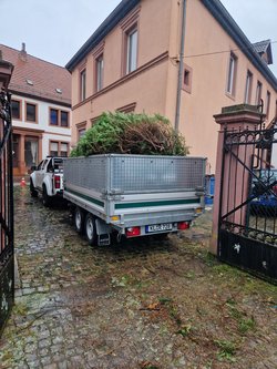 Grünschnittentsorgung durch Ruelius Green Gartenservice Kaiserslautern Bild Nr. 2