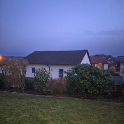 Heckenschnitt durch Ruelius Green Gartenservice Kaiserslautern Bild Nr. 45