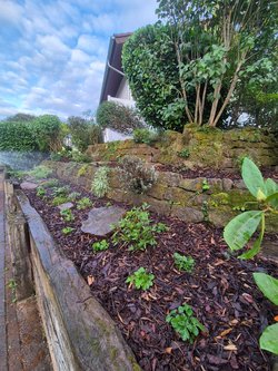  Gartenarbeiten durch Ruelius Green Gartenservice Kaiserslautern Bild Nr. 6