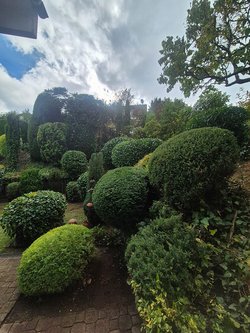 Heckenschnitt durch Ruelius Green Gartenservice Kaiserslautern Bild Nr. 37