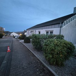 Heckenschnitt durch Ruelius Green Gartenservice Kaiserslautern Bild Nr. 43