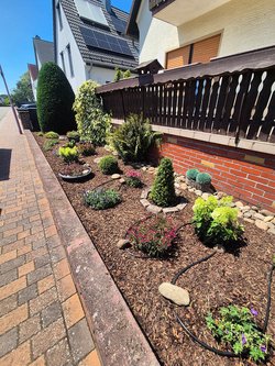  Gartenarbeiten durch Ruelius Green Gartenservice Kaiserslautern Bild Nr. 41