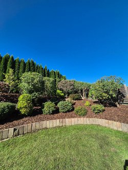  Gartenarbeiten durch Ruelius Green Gartenservice Kaiserslautern Bild Nr. 47