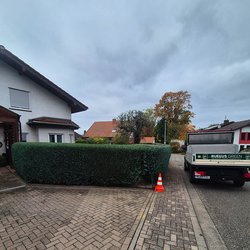 Heckenschnitt durch Ruelius Green Gartenservice Kaiserslautern Bild Nr. 40