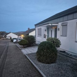 Heckenschnitt durch Ruelius Green Gartenservice Kaiserslautern Bild Nr. 44