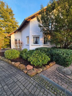 Heckenschnitt durch Ruelius Green Gartenservice Kaiserslautern Bild Nr. 50