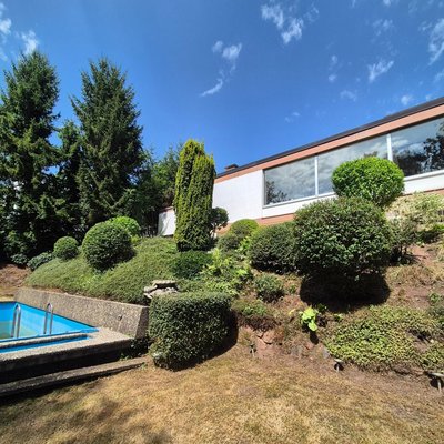 Gepflegte Hecken durch Ruelius Green Gartenpflege Kaiserslautern