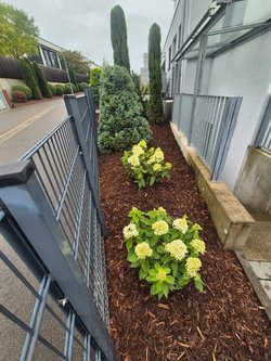  Gartenarbeiten durch Ruelius Green Gartenservice Kaiserslautern Bild Nr. 2