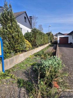 Heckenschnitt durch Ruelius Green Gartenservice Kaiserslautern Bild Nr. 34