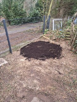 Baumwurzel Entfernung durch Ruelius Green Gartenservice Kaiserslautern Bild Nr. 12