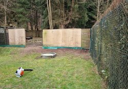 Hecken roden durch Ruelius Green Gartenservice Kaiserslautern Bild Nr. 10