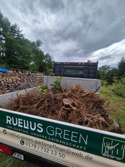 Baumwurzel Entfernung durch Ruelius Green Gartenservice Kaiserslautern Bild Nr. 19