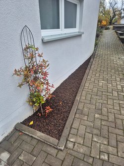  Gartenarbeiten durch Ruelius Green Gartenservice Kaiserslautern Bild Nr. 54