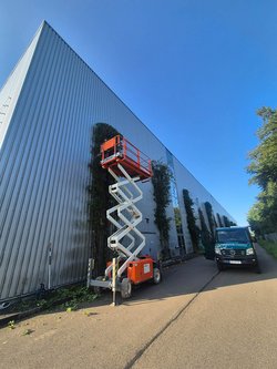 Gartenpflegeservice von Ruelius Green Kaiserslautern Bild Nr. 12