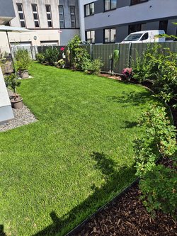 Rasenmähen durch Ruelius Green Gartenservice Kaiserslautern Bild Nr. 14