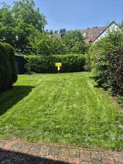 Rasenmähen durch Ruelius Green Gartenservice Kaiserslautern Bild Nr. 6