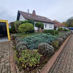 Gartenpflegeservice von Ruelius Green Kaiserslautern Bild Nr. 4