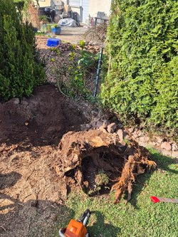 Baumwurzel Entfernung durch Ruelius Green Gartenservice Kaiserslautern Bild Nr. 15