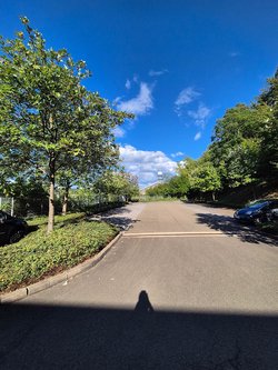 Gartenpflegeservice von Ruelius Green Kaiserslautern Bild Nr. 14