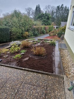 Baumwurzel Entfernung durch Ruelius Green Gartenservice Kaiserslautern Bild Nr. 10