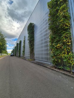 Gartenpflegeservice von Ruelius Green Kaiserslautern Bild Nr. 13