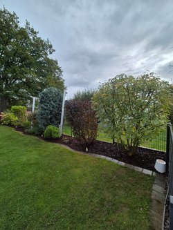  Gartenarbeiten durch Ruelius Green Gartenservice Kaiserslautern Bild Nr. 25