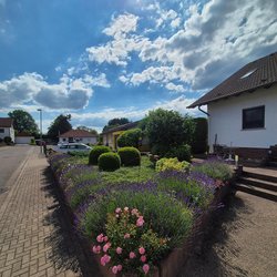 Gartenpflegeservice von Ruelius Green Kaiserslautern Bild Nr. 2