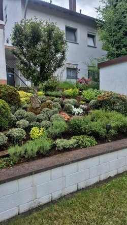  Gartenarbeiten durch Ruelius Green Gartenservice Kaiserslautern Bild Nr. 16