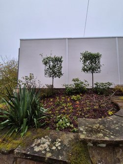  Gartenarbeiten durch Ruelius Green Gartenservice Kaiserslautern Bild Nr. 1