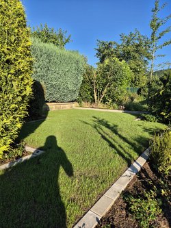 Rasenmähen durch Ruelius Green Gartenservice Kaiserslautern Bild Nr. 7
