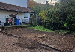 Hecken roden durch Ruelius Green Gartenservice Kaiserslautern Bild Nr. 7
