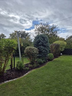 Heckenschnitt durch Ruelius Green Gartenservice Kaiserslautern Bild Nr. 4