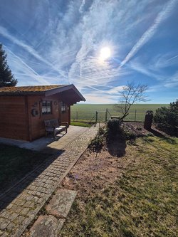 Hecken roden durch Ruelius Green Gartenservice Kaiserslautern Bild Nr. 29