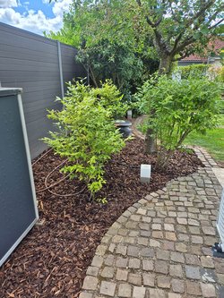  Gartenarbeiten durch Ruelius Green Gartenservice Kaiserslautern Bild Nr. 34