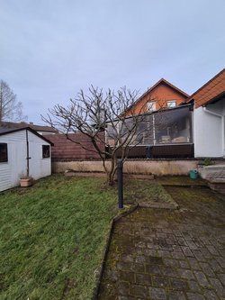 Heckenschnitt durch Ruelius Green Gartenservice Kaiserslautern Bild Nr. 1