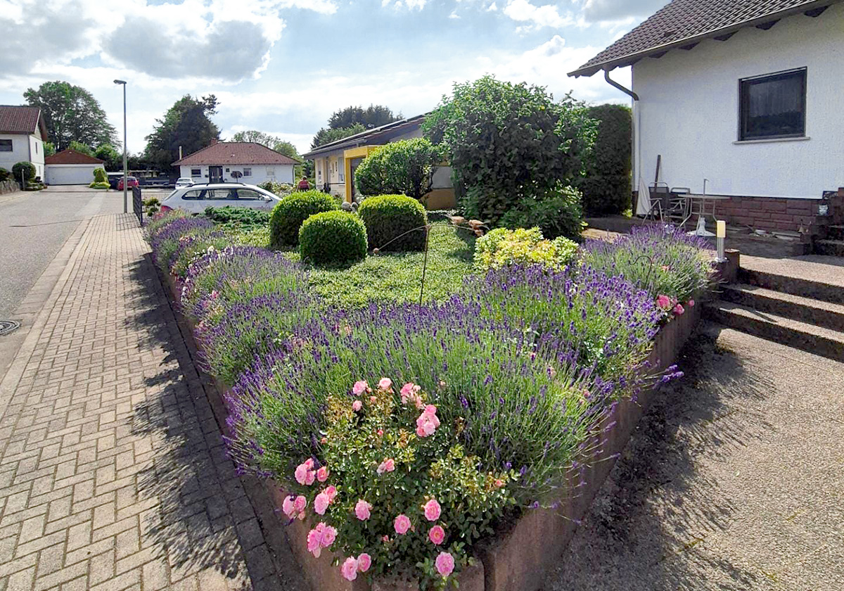 Vorgartenpflege