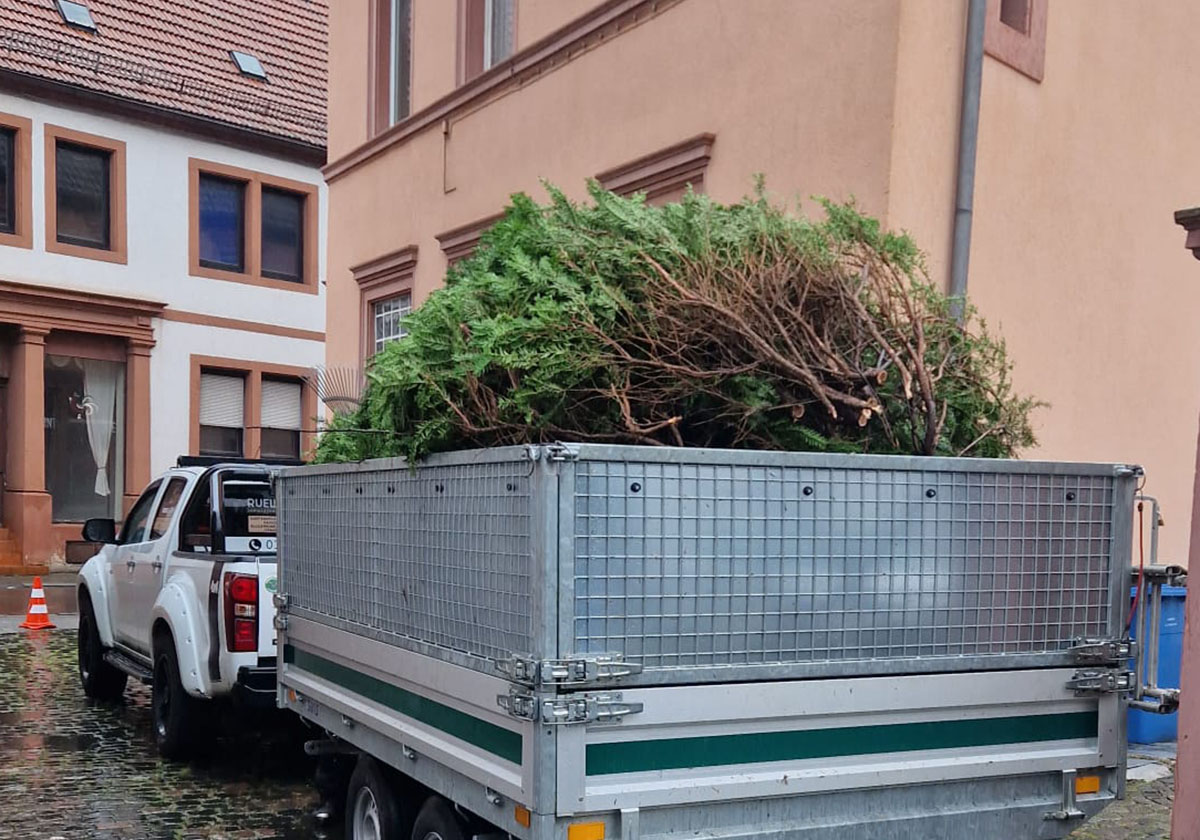 Grünschnittentsorgung mit großen KFZ-Anhänger in Kaiserslautern